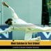 most catches in test cricket