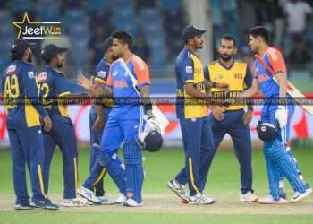 Cricket teams shaking hands after the game